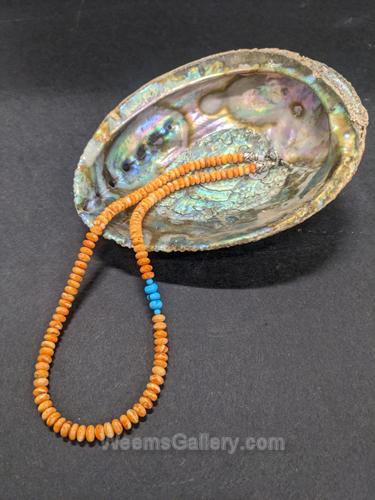 Monkey Paw Shell & turquoise Necklace by Pam Springall